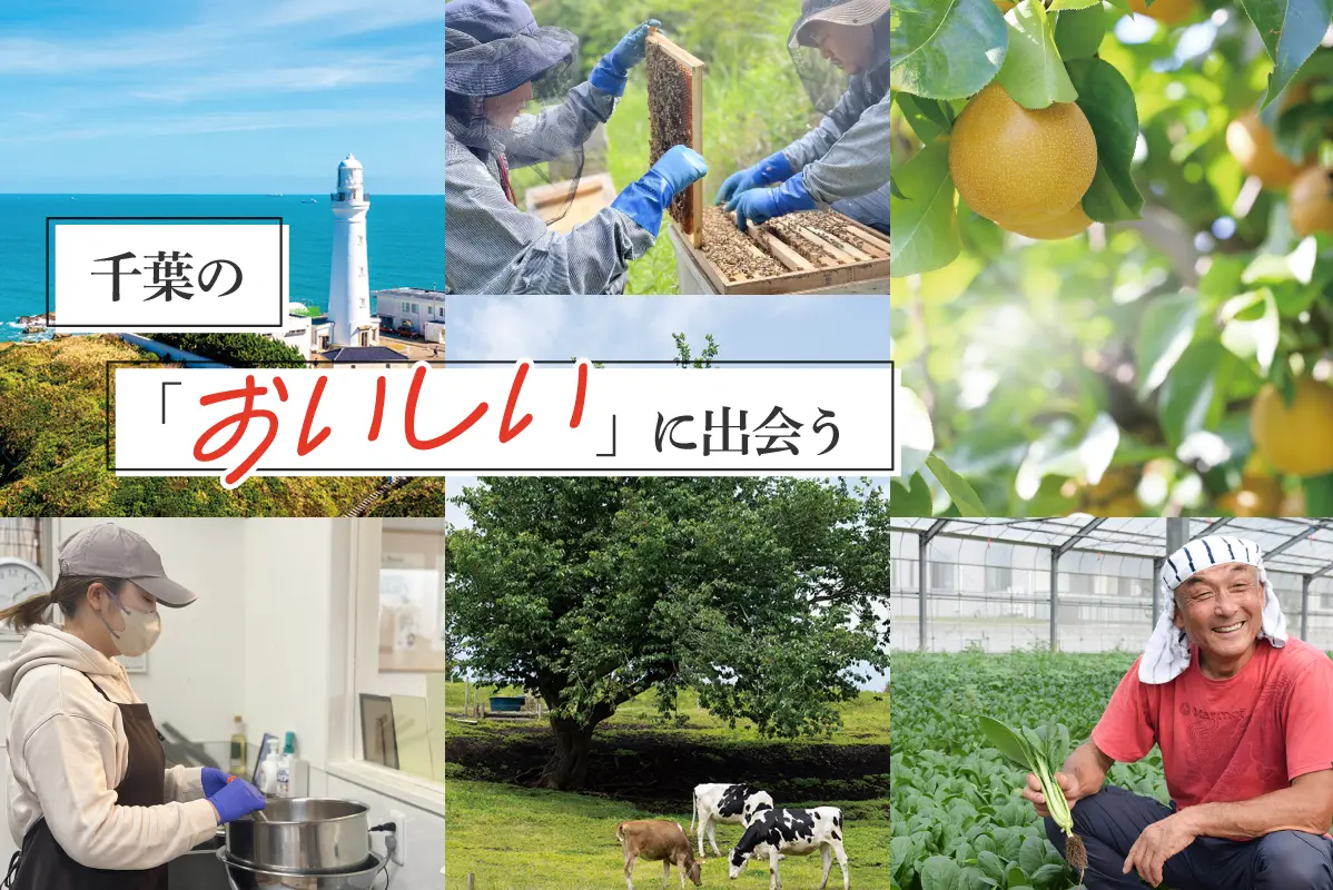 ちいきの逸品